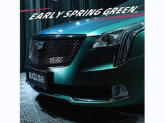 TPU - Verde da Primavera (brilhante)