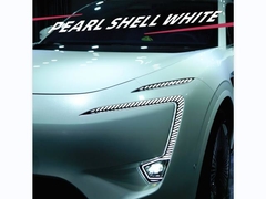 TPU-Pearl Shell Branco