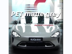 TPU-Porsche Cinza Mate